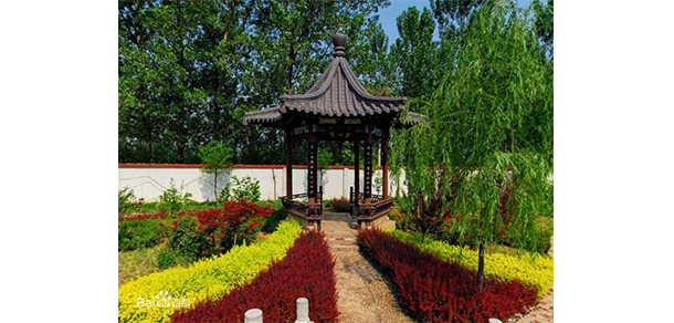 我的大學-大學志