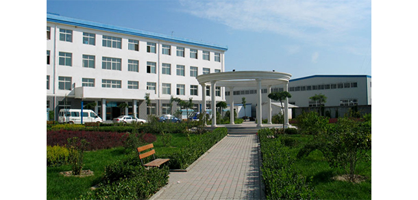 我的大學(xué)-大學(xué)志