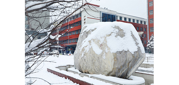 我的大學(xué)-大學(xué)志