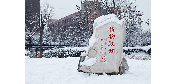 我的大學(xué)-大學(xué)志