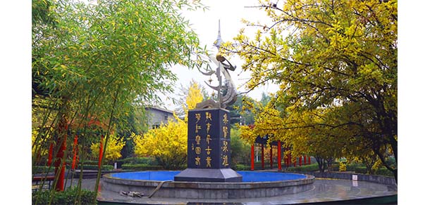 山西信息職業(yè)技術學院 - 最美院校