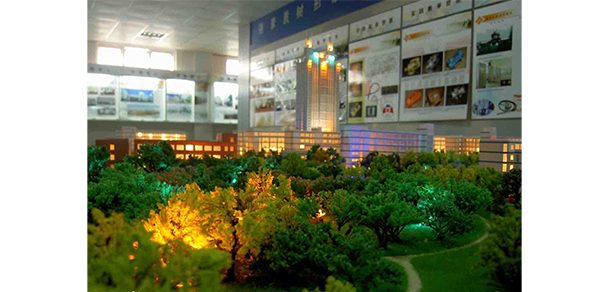 我的大學(xué)-大學(xué)志