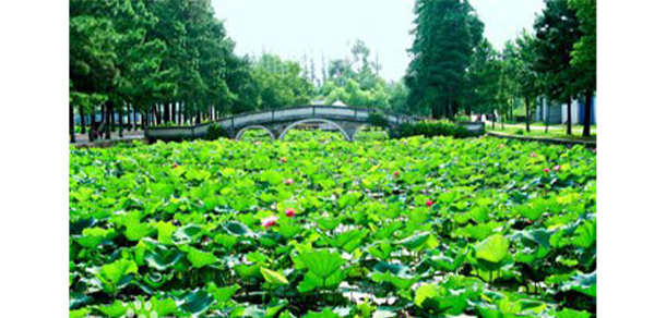 我的大學(xué)-大學(xué)志