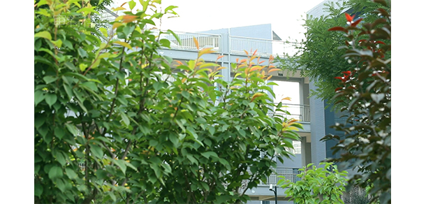 我的大學(xué)-大學(xué)志