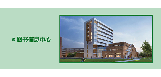 我的大學(xué)-大學(xué)志