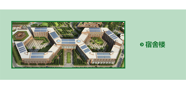 我的大學(xué)-大學(xué)志