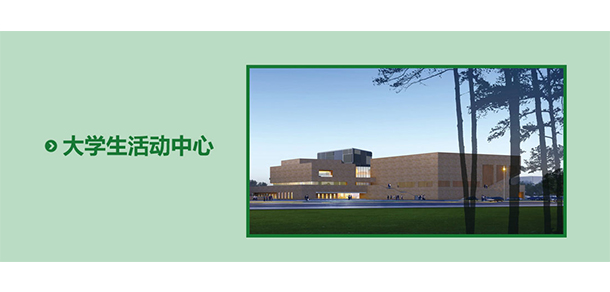 我的大學(xué)-大學(xué)志