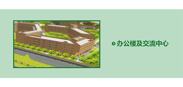 我的大學(xué)-大學(xué)志