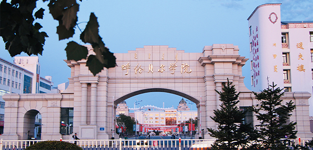 我的大學(xué)-大學(xué)志