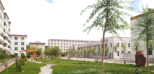 我的大學(xué)-大學(xué)志