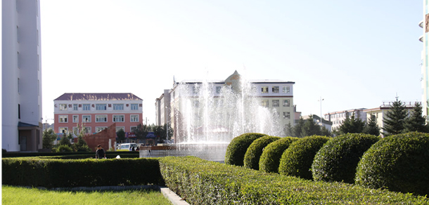 我的大學(xué)-大學(xué)志