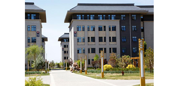 我的大學(xué)-大學(xué)志