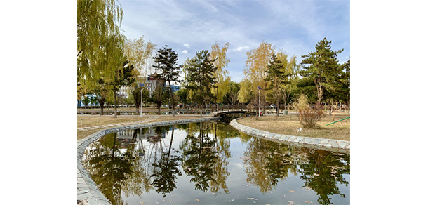 我的大學(xué)-大學(xué)志