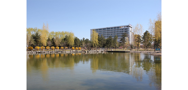 我的大學(xué)-大學(xué)志
