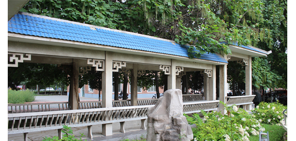 我的大學-大學志