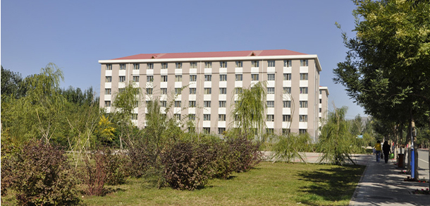 我的大學(xué)-大學(xué)志
