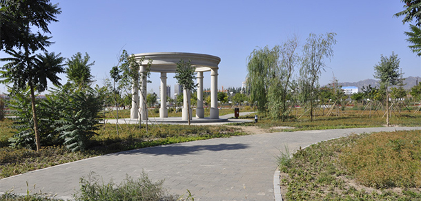 我的大學(xué)-大學(xué)志