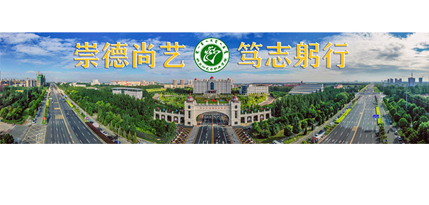 大學(xué)校志：校名、校標(biāo)、校訓(xùn)、校徽、校旗、校歌