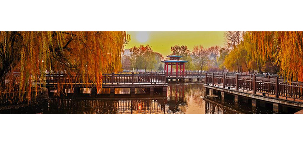 我的大學-大學志