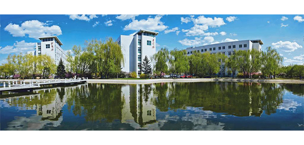 我的大學-大學志
