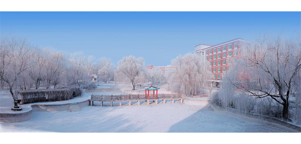 我的大學-大學志