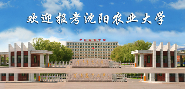 我的大學(xué)-大學(xué)志