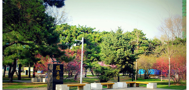 我的大學(xué)-大學(xué)志