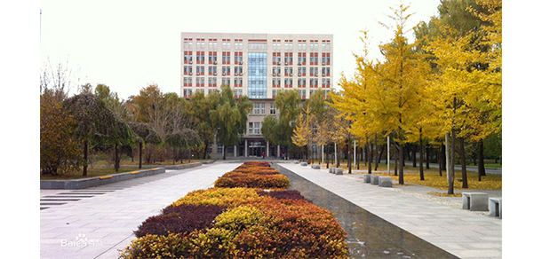 我的大學(xué)-大學(xué)志
