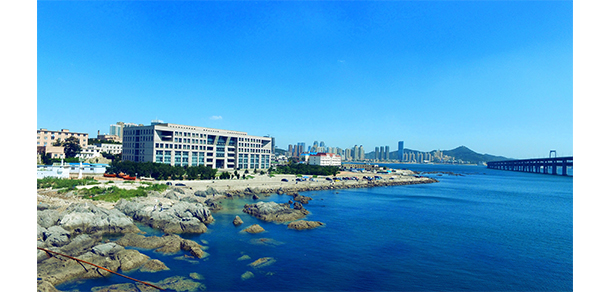 我的大學(xué)-大學(xué)志