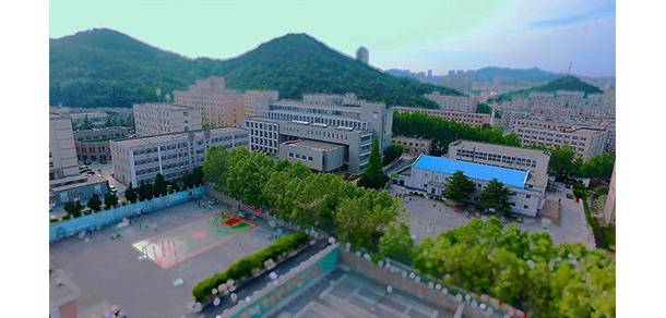 我的大學(xué)-大學(xué)志