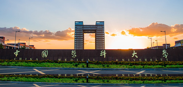 大學(xué)校志：校名、校標(biāo)、校訓(xùn)、?；?、校旗、校歌