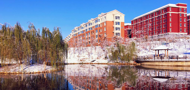 我的大學-大學志