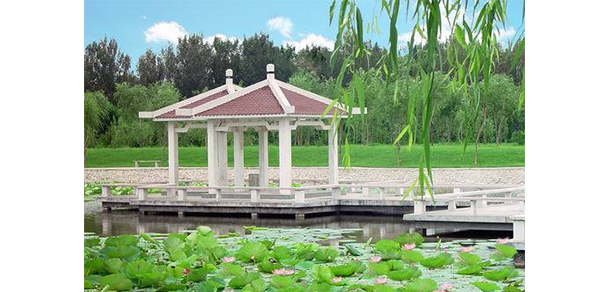 我的大學(xué)-大學(xué)志