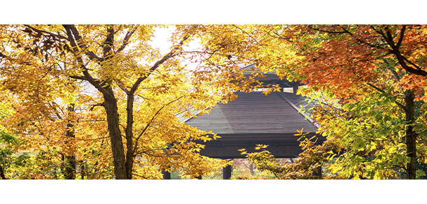 我的大學(xué)-大學(xué)志