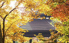文化標(biāo)識(shí)：校名題寫 / 校徽設(shè)計(jì)