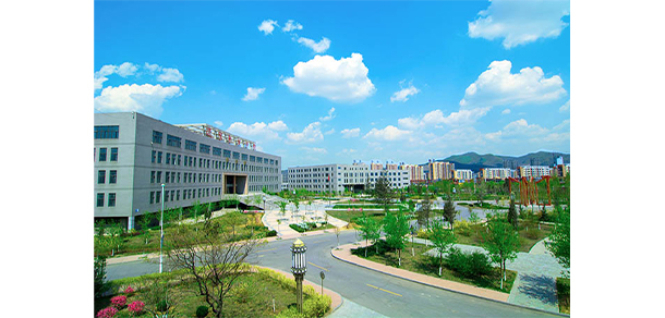 我的大學-大學志