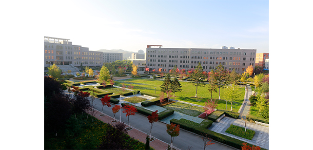 我的大學-大學志