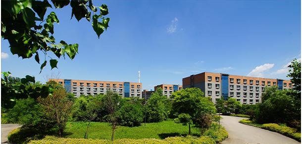 我的大學-大學志