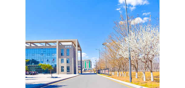 我的大學-大學志