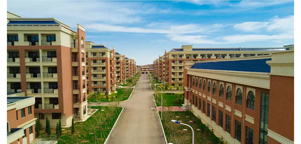 我的大學(xué)-大學(xué)志