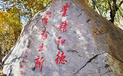 歷史沿革（概）校史