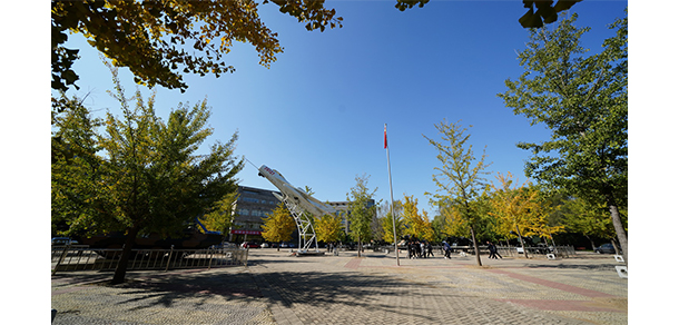 我的大學(xué)-大學(xué)志