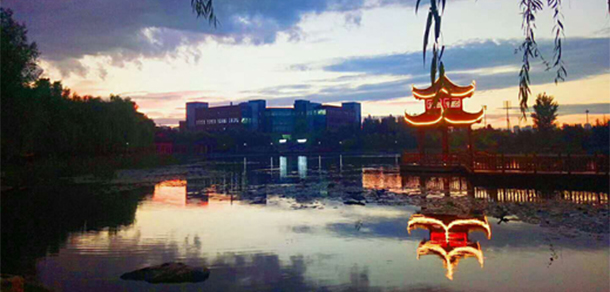 我的大學(xué)-大學(xué)志