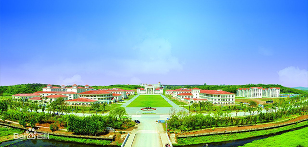 我的大學(xué)-大學(xué)志