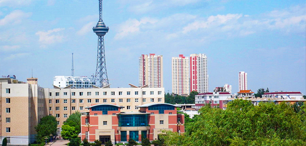 我的大學(xué)-大學(xué)志