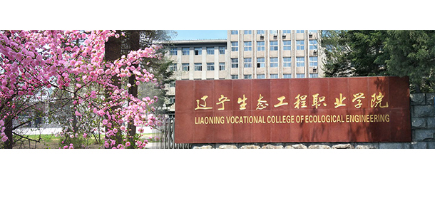 我的大學(xué)-大學(xué)志
