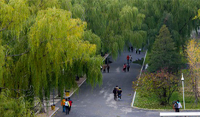 沈陽職業(yè)技術(shù)學(xué)院-校園風(fēng)光