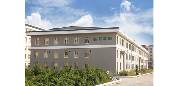 我的大學-大學志