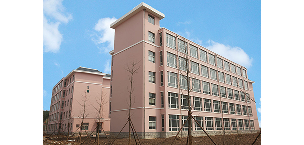 我的大學-大學志