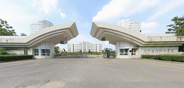 大學(xué)校志：校名、校標(biāo)、校訓(xùn)、?；?、校旗、校歌